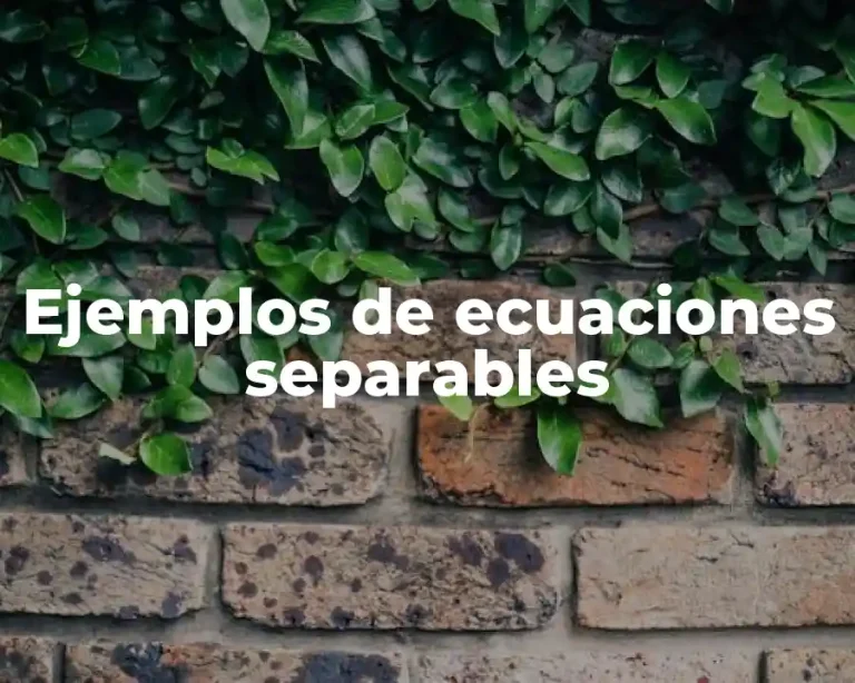 Ejemplos de ecuaciones separables