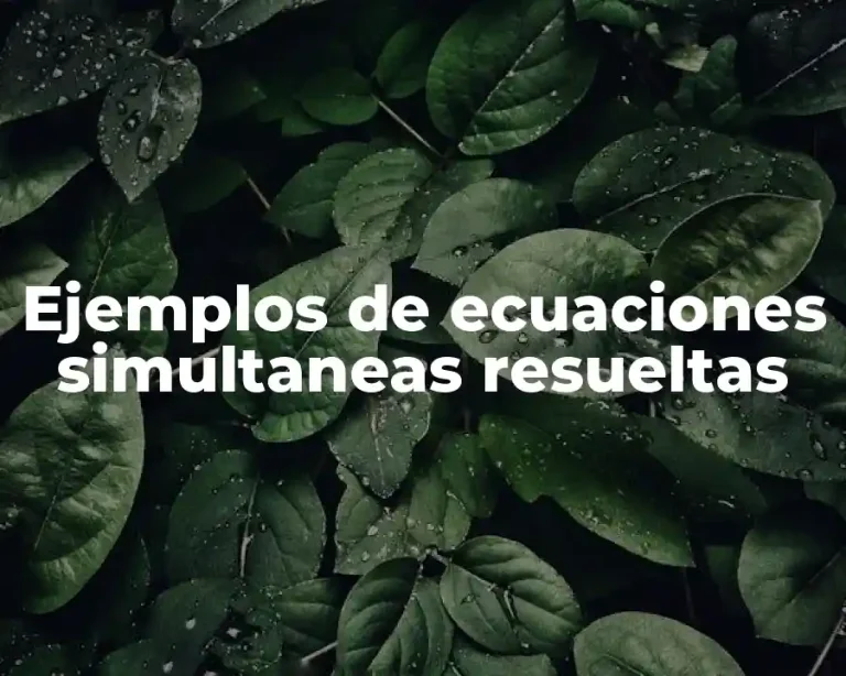 Ejemplos de ecuaciones simultaneas resueltas