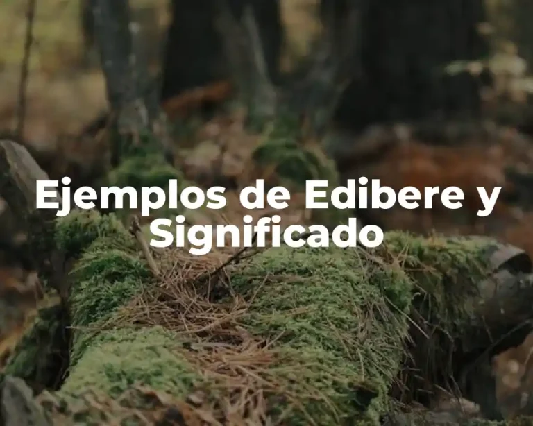 Ejemplos de Edibere y Significado