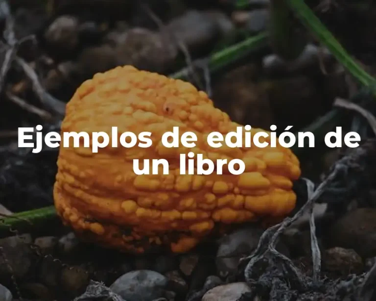 Ejemplos de edición de un libro