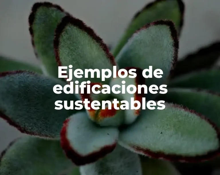 Ejemplos de edificaciones sustentables