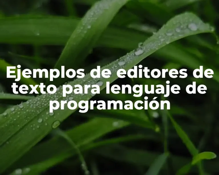Ejemplos de editores de texto para lenguaje de programación