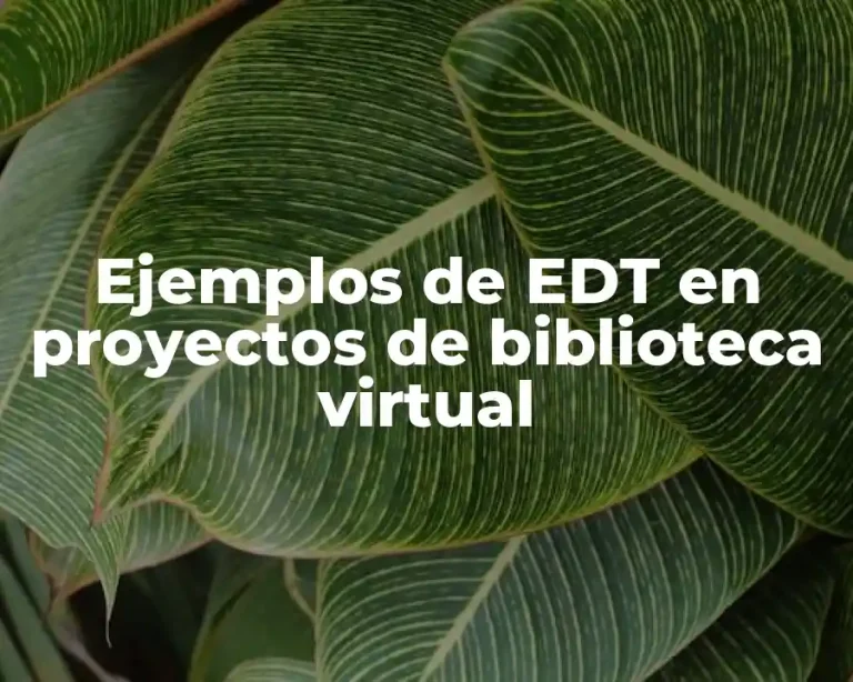 Ejemplos de EDT en proyectos de biblioteca virtual