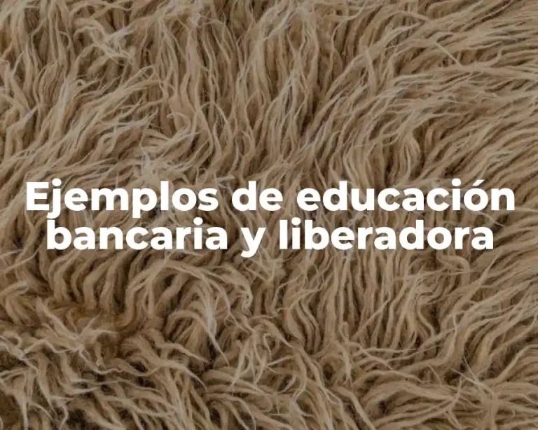 Ejemplos de educación bancaria y liberadora