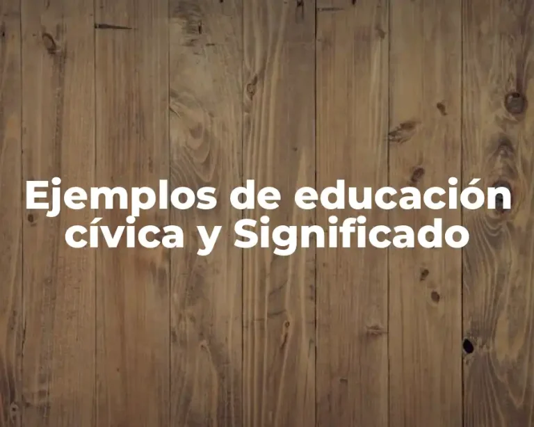 Ejemplos de educación cívica y Significado