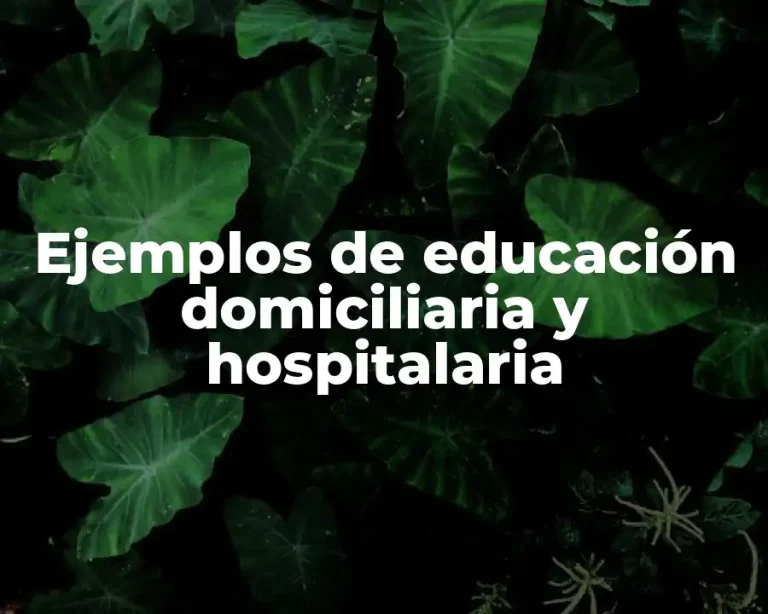 Ejemplos de educación domiciliaria y hospitalaria