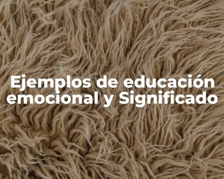 Ejemplos de educación emocional y Significado