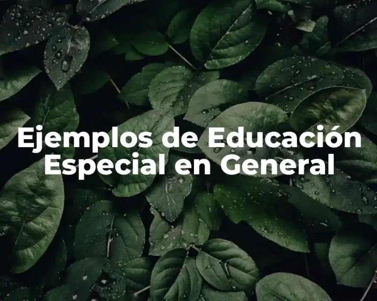 Ejemplos de Educación Especial en General