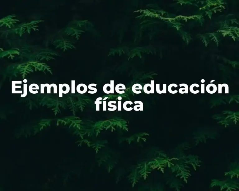 Ejemplos de educación física