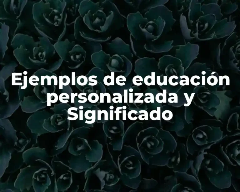 Ejemplos de educación personalizada y Significado