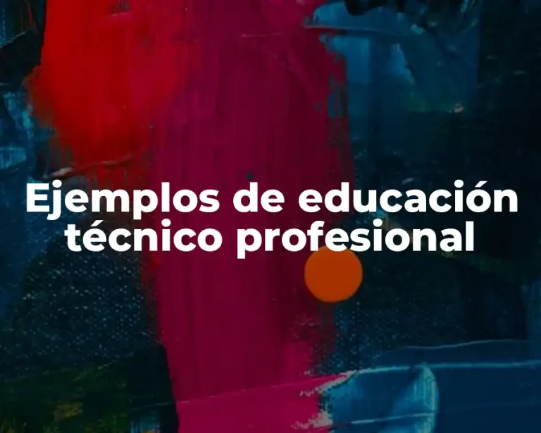 Ejemplos de educación técnico profesional