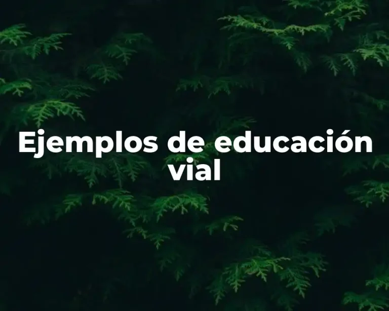 Ejemplos de educación vial