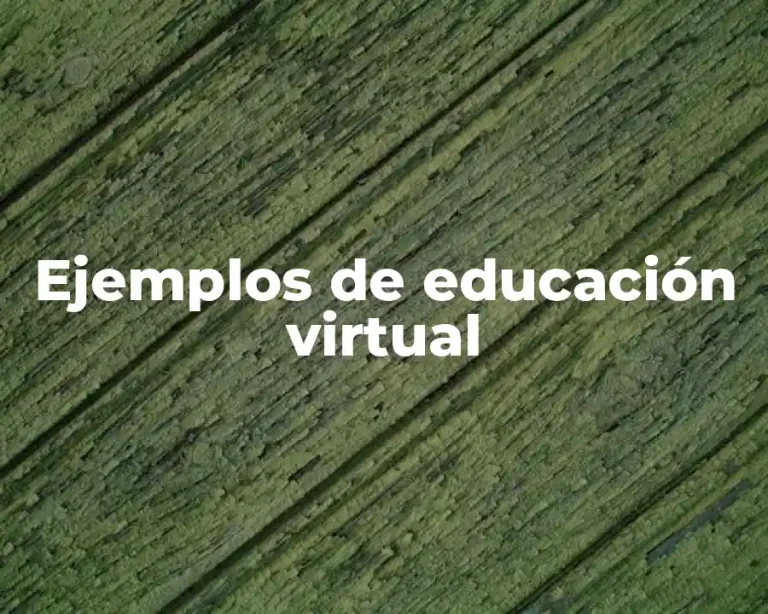 Ejemplos de educación virtual