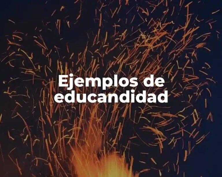 Ejemplos de educandidad