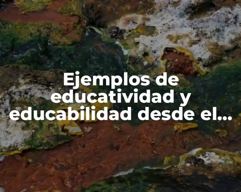 Ejemplos de educatividad y educabilidad desde el humanismo