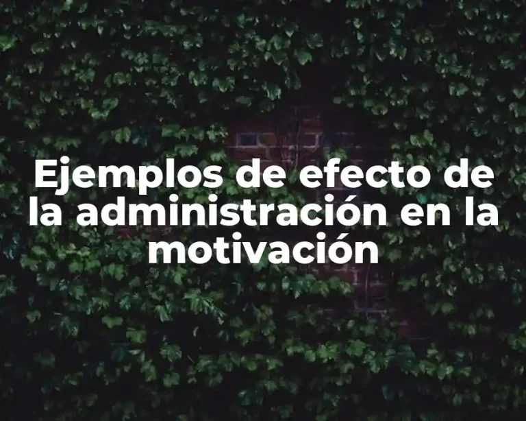 Ejemplos de efecto de la administración en la motivación