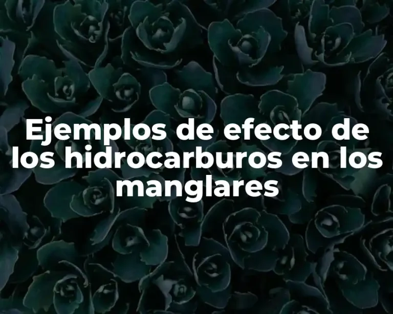 Ejemplos de efecto de los hidrocarburos en los manglares