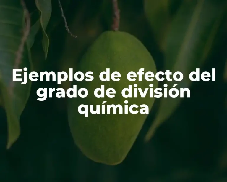 Ejemplos de efecto del grado de división química
