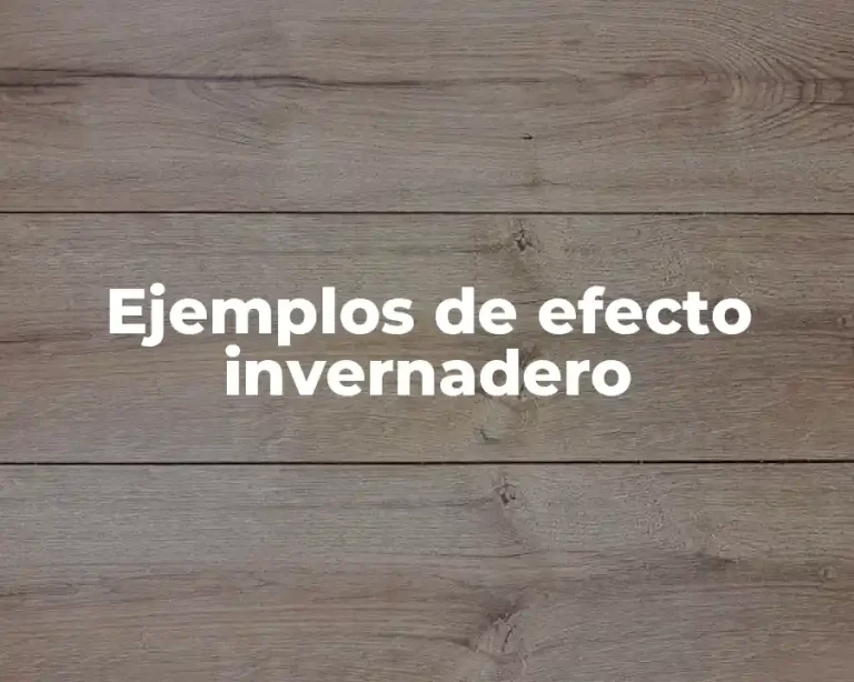 Ejemplos de efecto invernadero