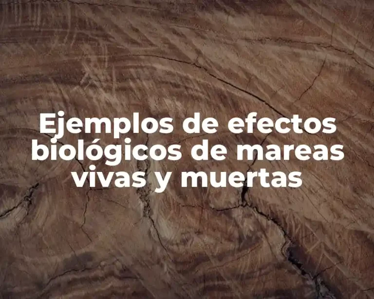 Ejemplos de efectos biológicos de mareas vivas y muertas