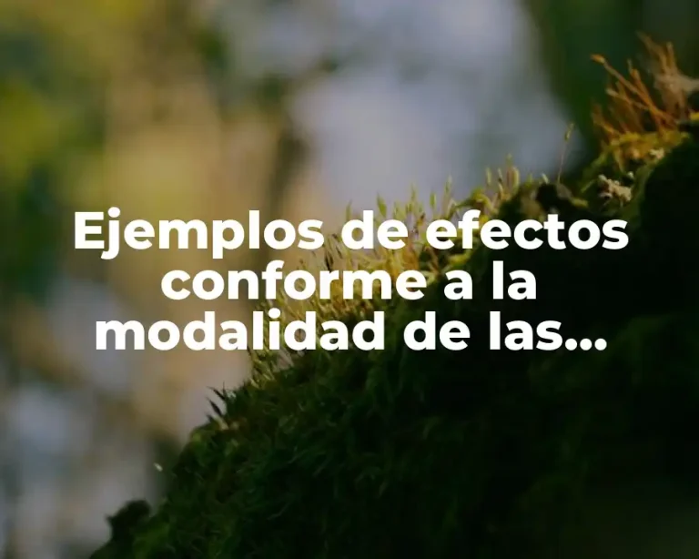 Ejemplos de efectos conforme a la modalidad de las obligaciones