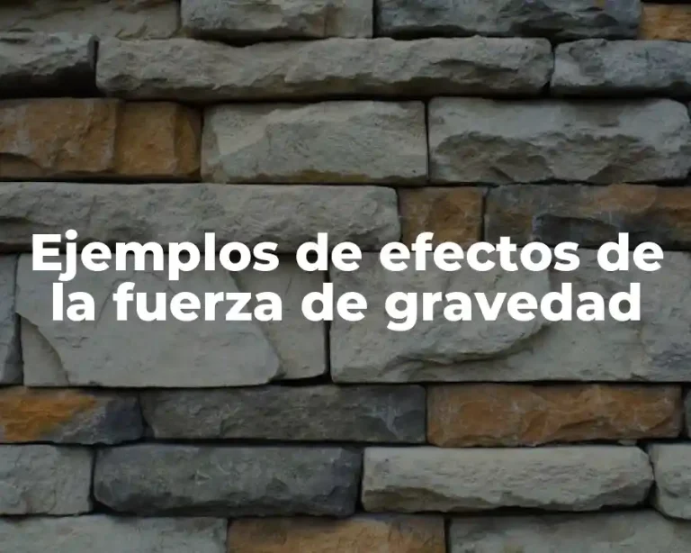 Ejemplos de efectos de la fuerza de gravedad