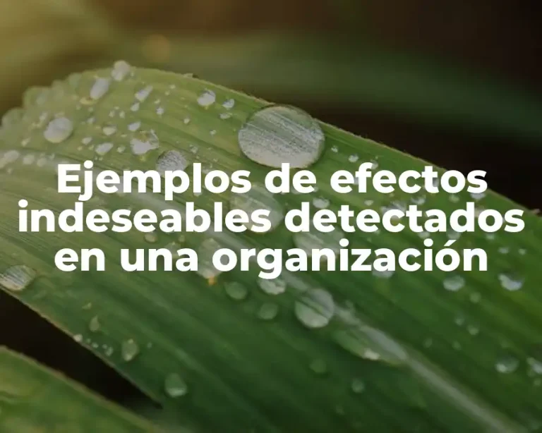 Ejemplos de efectos indeseables detectados en una organización