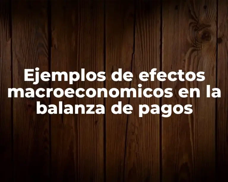 Ejemplos de efectos macroeconomicos en la balanza de pagos