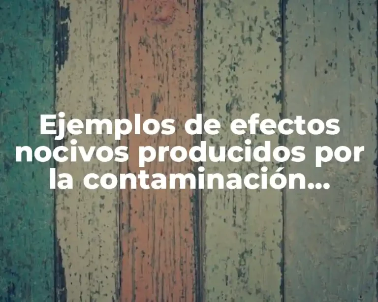 Ejemplos de efectos nocivos producidos por la contaminación acústica