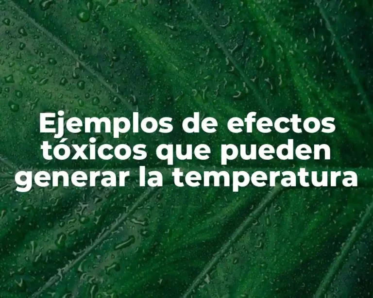 Ejemplos de efectos tóxicos que pueden generar la temperatura