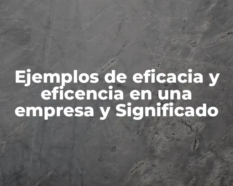 Ejemplos de eficacia y eficencia en una empresa y Significado