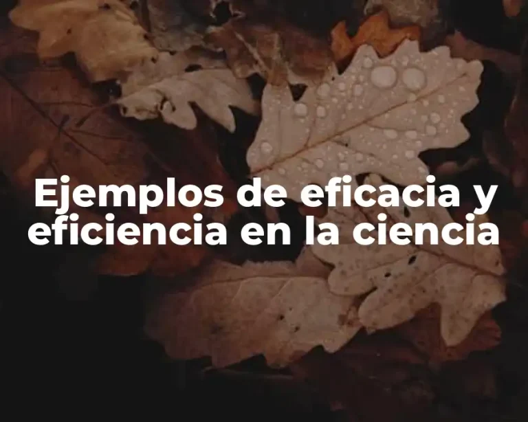Ejemplos de eficacia y eficiencia en la ciencia
