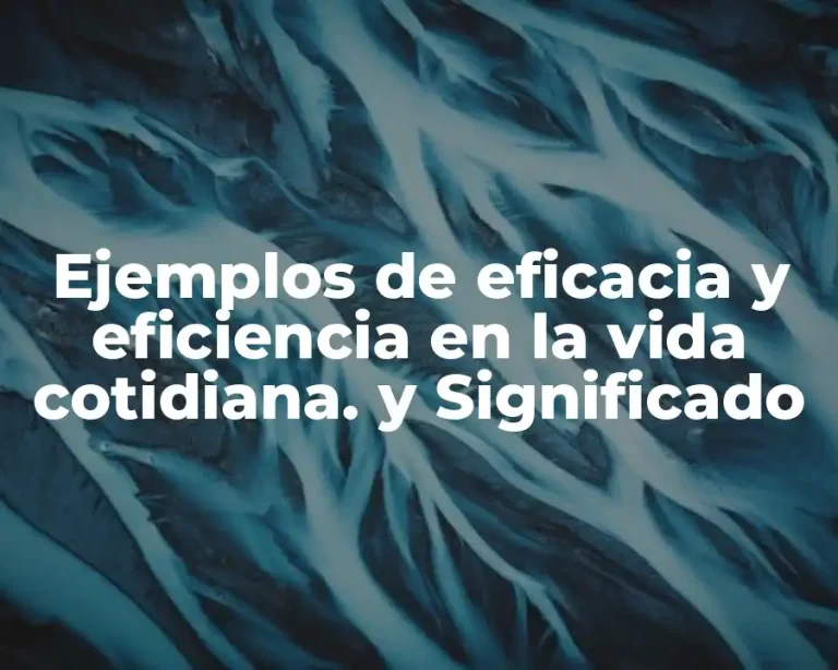 Ejemplos de eficacia y eficiencia en la vida cotidiana. y Significado