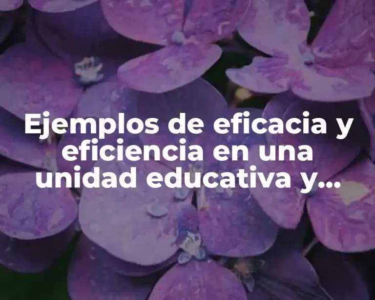 Ejemplos de eficacia y eficiencia en una unidad educativa y Significado