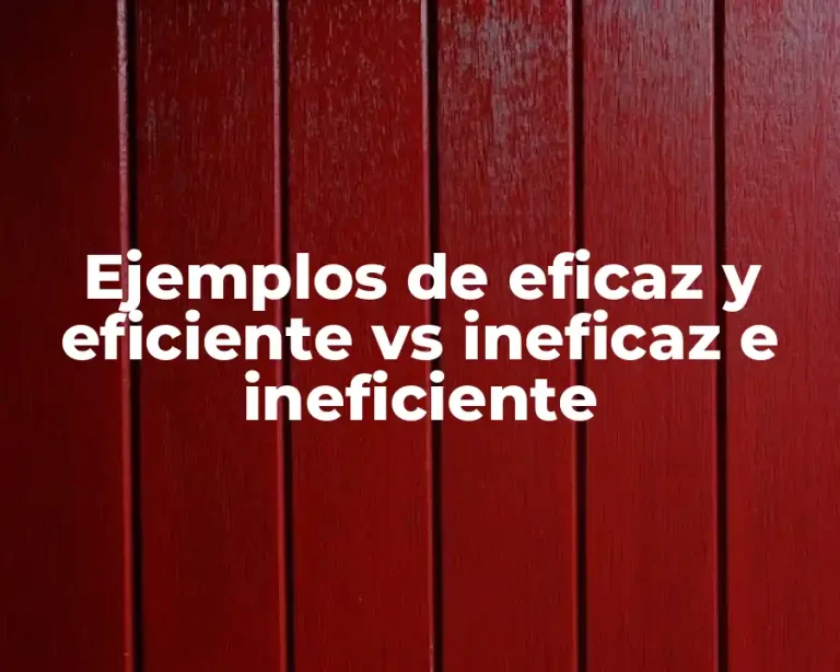 Ejemplos de eficaz y eficiente vs ineficaz e ineficiente