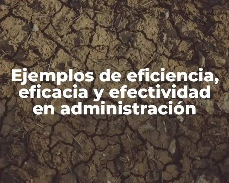 Ejemplos de eficiencia, eficacia y efectividad en administración