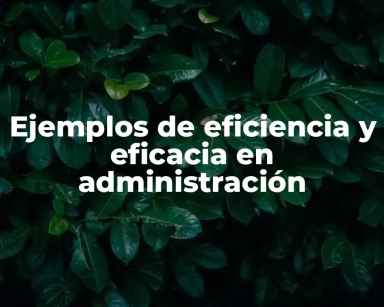 Ejemplos de eficiencia y eficacia en administración