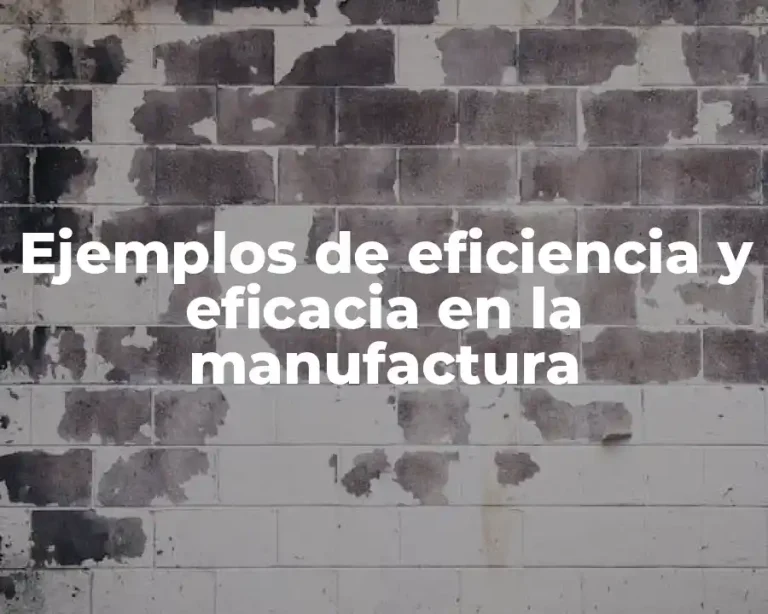 Ejemplos de eficiencia y eficacia en la manufactura