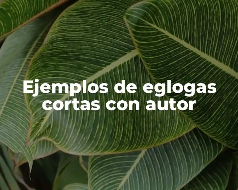 Ejemplos de eglogas cortas con autor