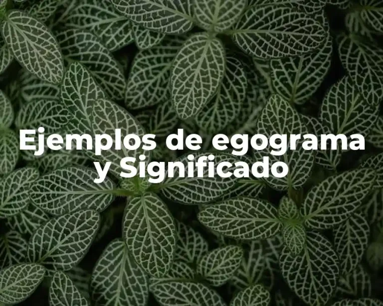 Ejemplos de egograma y Significado