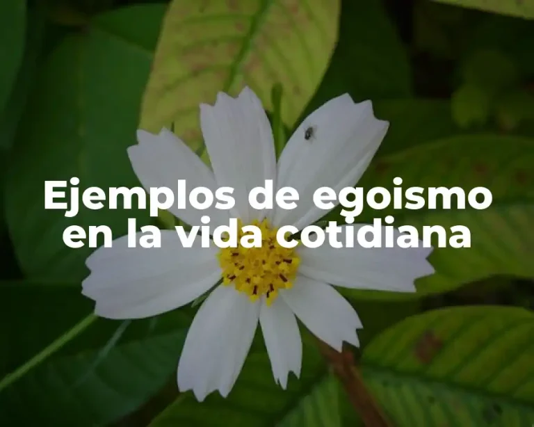 Ejemplos de egoismo en la vida cotidiana