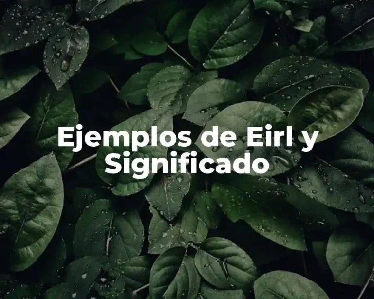 Ejemplos de Eirl y Significado