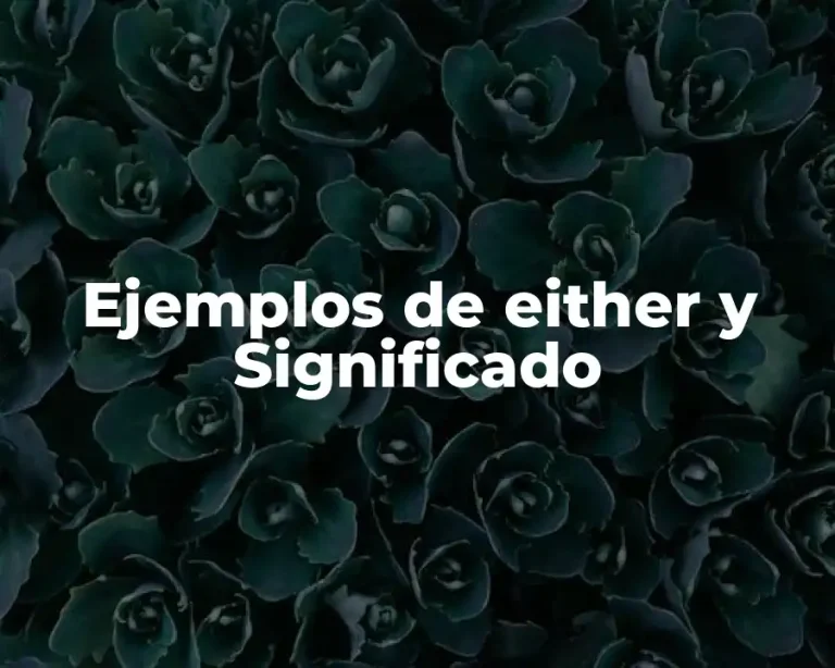 Ejemplos de either y Significado