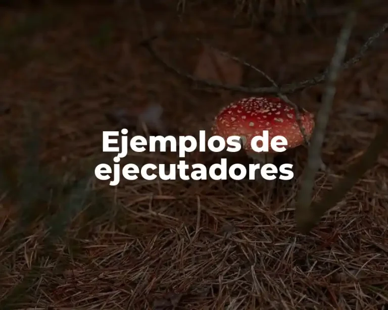 Ejemplos de ejecutadores