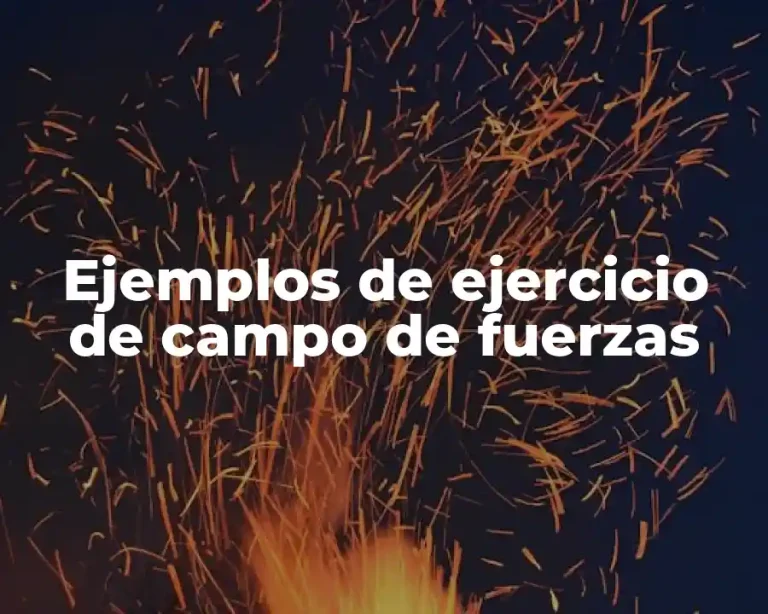 Ejemplos de ejercicio de campo de fuerzas