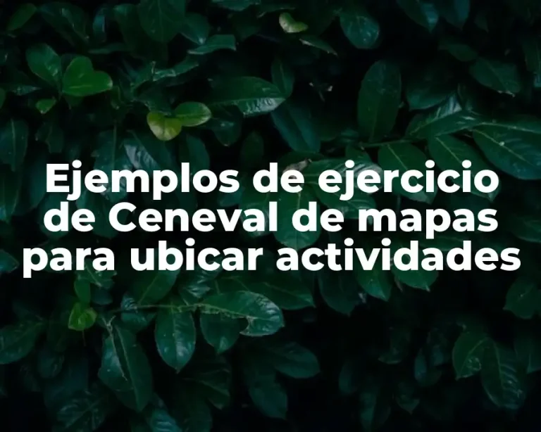 Ejemplos de ejercicio de Ceneval de mapas para ubicar actividades