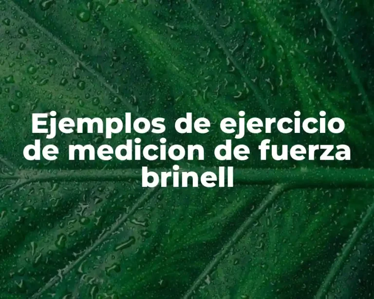 Ejemplos de ejercicio de medicion de fuerza brinell