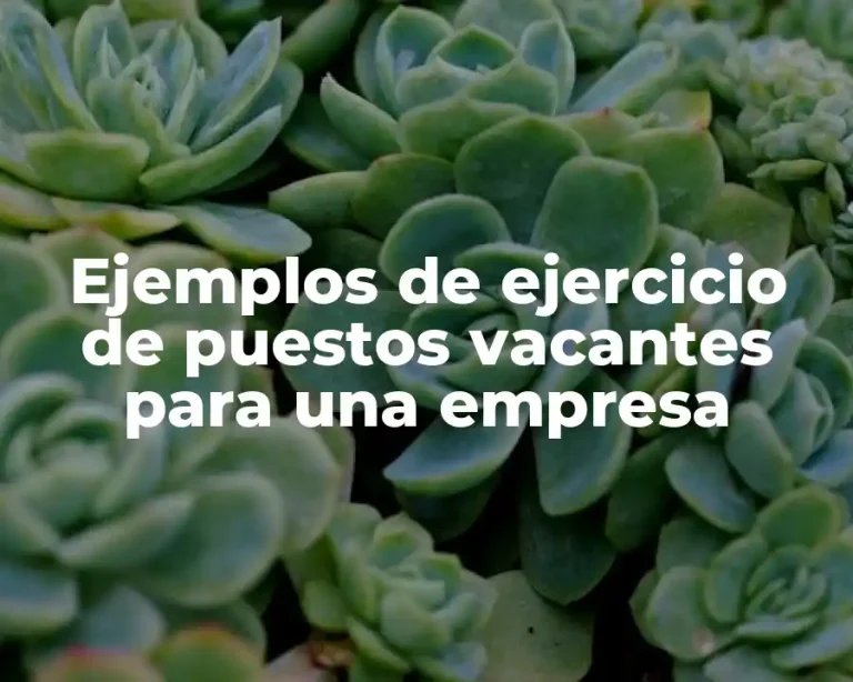 Ejemplos de ejercicio de puestos vacantes para una empresa