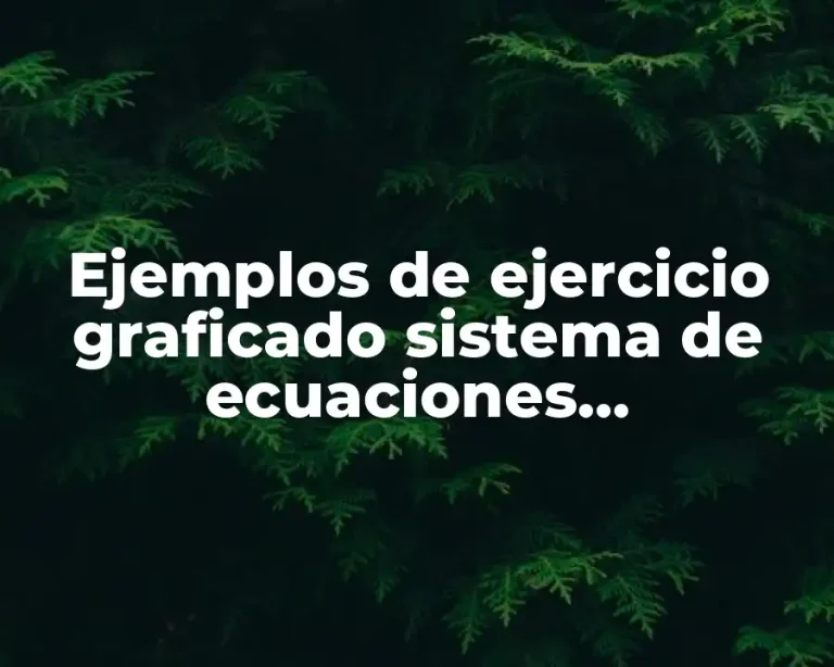 Ejemplos de ejercicio graficado sistema de ecuaciones independientes