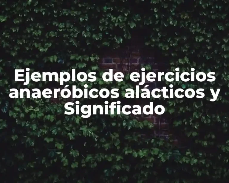 Ejemplos de ejercicios anaeróbicos alácticos y Significado